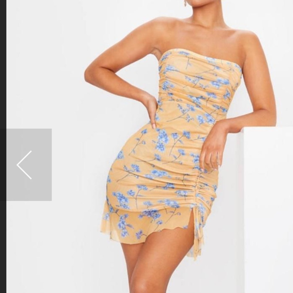 NWT Strapless floral PLT dress